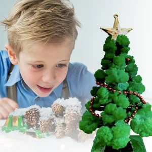 GrowTree™ - Kweek je eigen kerstboom! - Kerstboom kweekset (1+1 GRATIS)